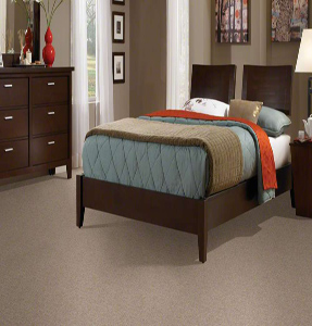Nylon Carpets